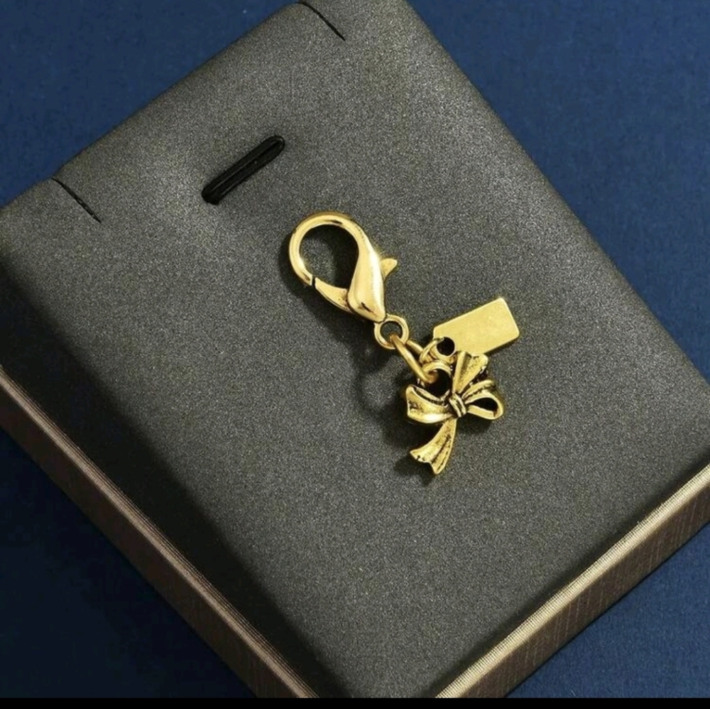 Tiny Bow Bag Charm Keychain, Zipper Pull Replacem… - image 1